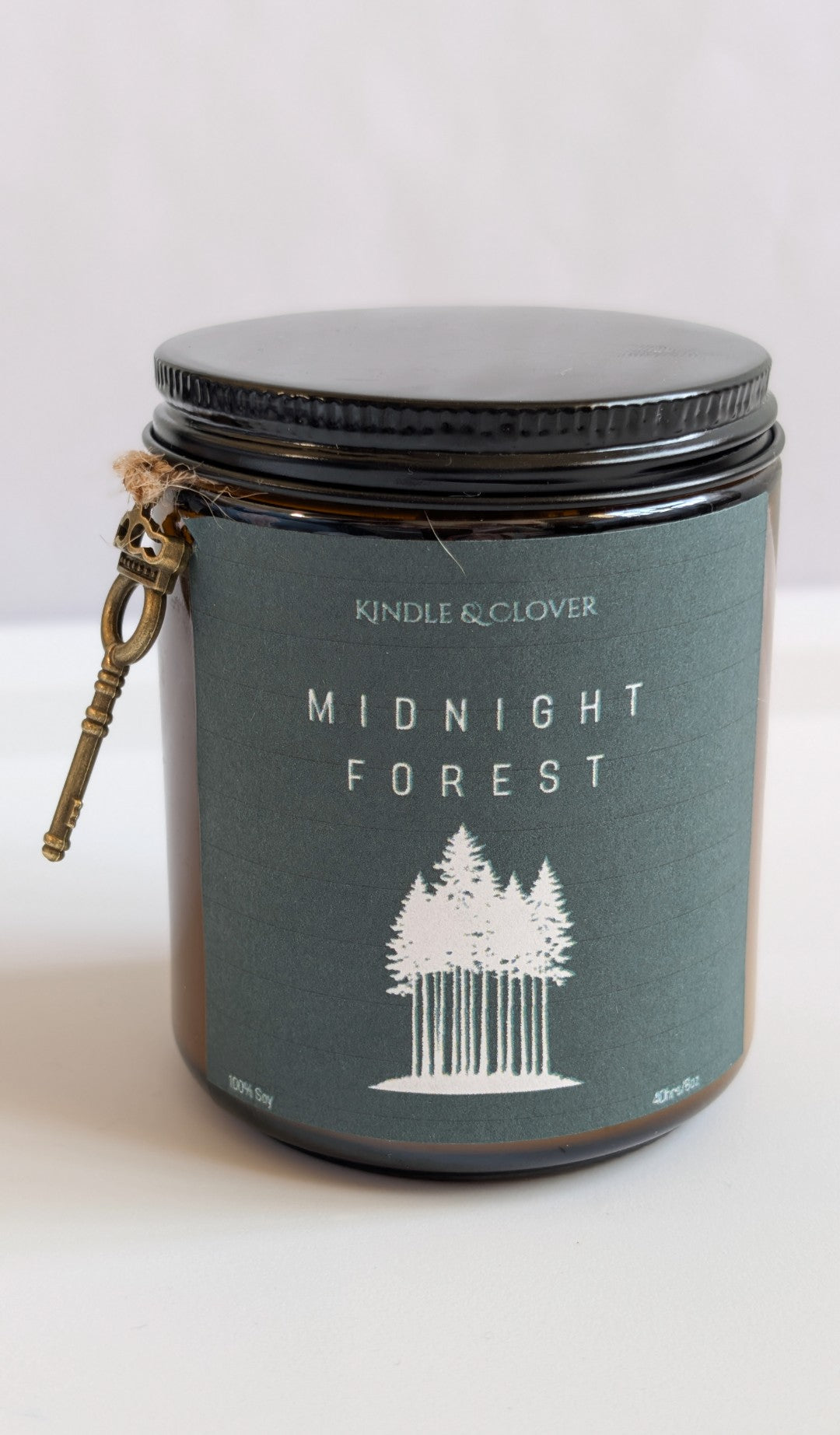 Midnight Forest